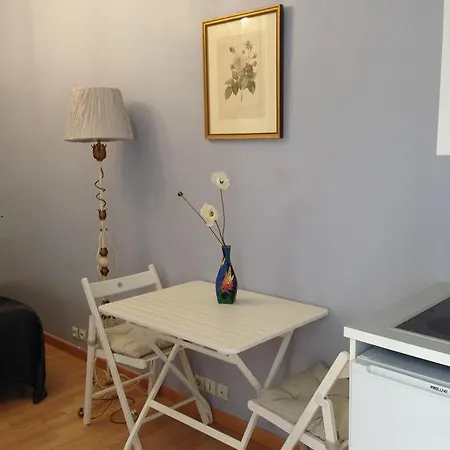 Le Petit Lauriston Appartement Paris
